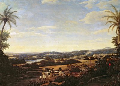 Brazilian Landscape with a Plantation by Frans Post
